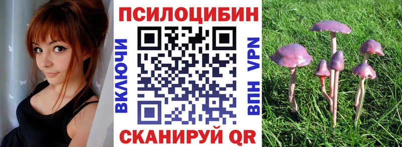 KRAKEN рабочий сайт  наркота  Верхний Тагил  Псилоцибиновые грибы Magic Shrooms 
